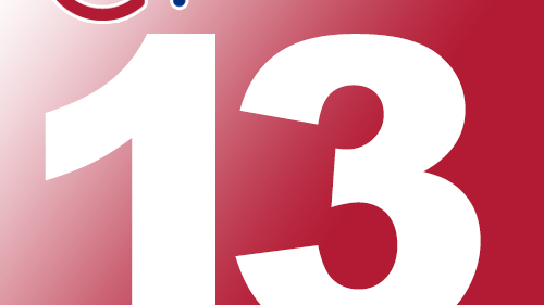 OpenCms 13