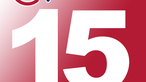 OpenCms 15