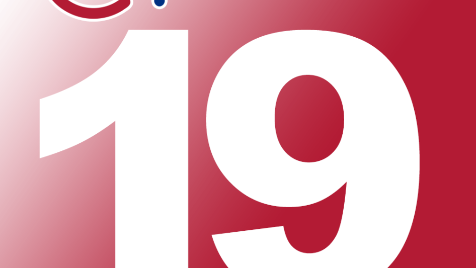 OpenCms 19