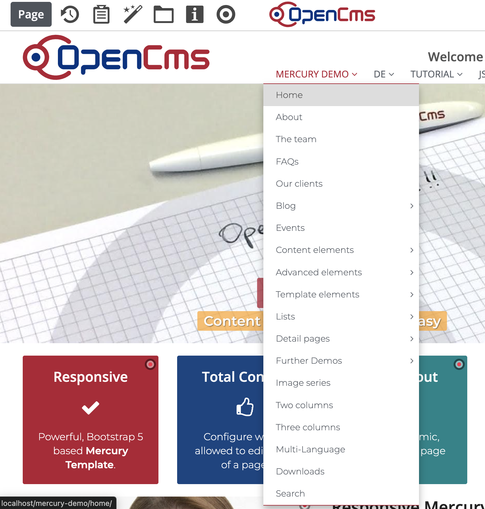 The “Demo site” showcasing the Mercury template.