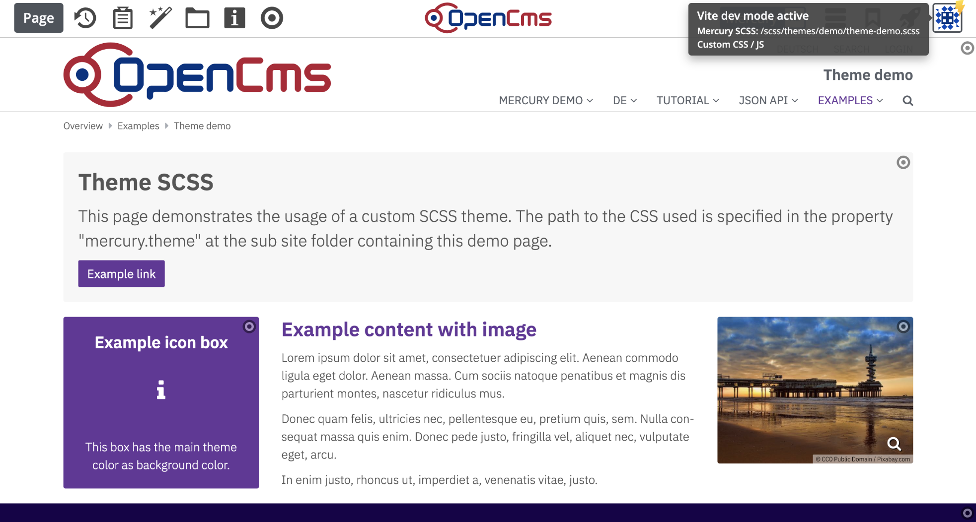 Example theme page with Vite active