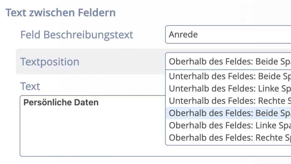Text zwischen Feldern im Formular